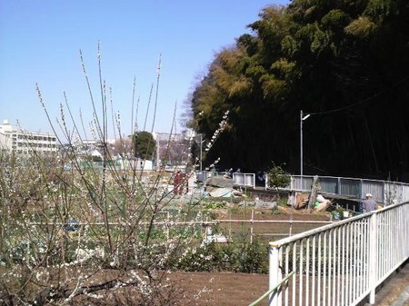 P1002090.JPG