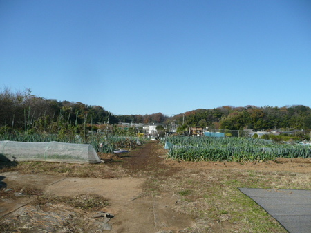 P1390239.JPG