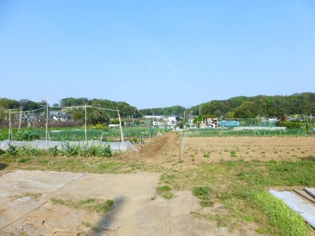 P1000717.JPG