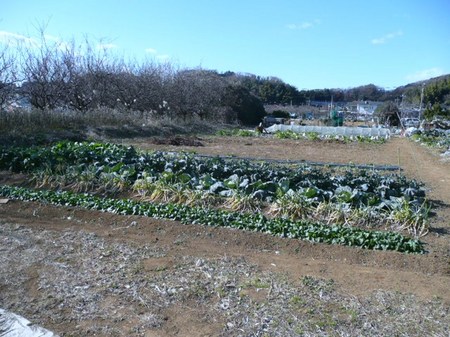 P1320055.JPG