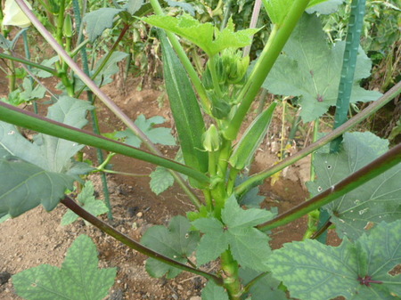 P1360015.JPG
