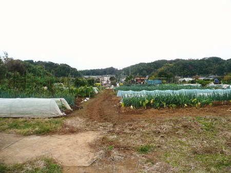 P1380673.JPG